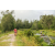 Team 09 / Raid Amazones Vietnam 2019 - J4 Run and Canoe