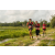 Team 70 / Raid Amazones Vietnam 2019 - J4 Run and Canoe