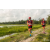 Team 69 / Raid Amazones Vietnam 2019 - J4 Run and Canoe