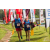 Team 29 / Raid Amazones Vietnam 2019 - J4 Run and Canoe