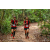 Team 35 / Raid Amazones Vietnam 2019 - J5 Trek