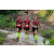 Team 123 / Raid Amazones Vietnam 2019 - J5 Trek
