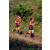 Team 58 / Raid Amazones Vietnam 2019 - J5 Trek
