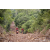 Team 53 / Raid Amazones Vietnam 2019 - J5 Trek