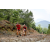 Team 10 / Raid Amazones Vietnam 2019 - J5 Trek