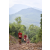Team 45 / Raid Amazones Vietnam 2019 - J5 Trek