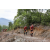 Team 18 / Raid Amazones Vietnam 2019 - J5 Trek