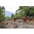 Team 137 / Raid Amazones Vietnam 2019 - J5 Trek