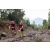 Team 33 / Raid Amazones Vietnam 2019 - J5 Trek
