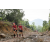 Team 39 / Raid Amazones Vietnam 2019 - J5 Trek