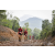Team 24 / Raid Amazones Vietnam 2019 - J5 Trek