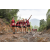 Team 34 / Raid Amazones Vietnam 2019 - J5 Trek