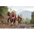 Team 73 / Raid Amazones Vietnam 2019 - J5 Trek