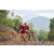 Team 27 / Raid Amazones Vietnam 2019 - J5 Trek