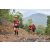 Team 87 / Raid Amazones Vietnam 2019 - J5 Trek