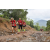 Team 101 / Raid Amazones Vietnam 2019 - J5 Trek