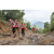 Team 108 / Raid Amazones Vietnam 2019 - J5 Trek