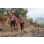 Team 108 / Raid Amazones Vietnam 2019 - J5 Trek