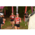 Team 53 / Raid Amazones Vietnam 2019 - J5 Trek