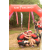 Team 132 / Raid Amazones Vietnam 2019 - J5 Trek