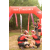 Team 132 / Raid Amazones Vietnam 2019 - J5 Trek