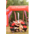 Team 132 / Raid Amazones Vietnam 2019 - J5 Trek
