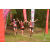 Team 116 / Raid Amazones Vietnam 2019 - J5 Trek
