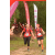 Team 143 / Raid Amazones Vietnam 2019 - J5 Trek