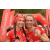 Team 86 / Raid Amazones Vietnam 2019 - J5 Trek