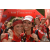 Team 19 / Raid Amazones Vietnam 2019 - J5 Trek