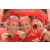 Team 55 / Raid Amazones Vietnam 2019 - J5 Trek