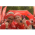 Team 46 / Raid Amazones Vietnam 2019 - J5 Trek