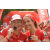 Team 04 / Raid Amazones Vietnam 2019 - J5 Trek