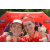 Team 81 / Raid Amazones Vietnam 2019 - J5