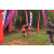 Team 29 / Raid Amazones Vietnam 2019 - J5 Trek