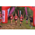 Team 148 / Raid Amazones Vietnam 2019 - J5 Trek