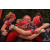 Team 129 / Raid Amazones Vietnam 2019 - J5 Trek