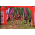 Team 114 / Raid Amazones Vietnam 2019 - J5 Trek