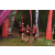 Team 135 / Raid Amazones Vietnam 2019 - J5 Trek