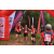 Team 135 / Raid Amazones Vietnam 2019 - J5 Trek