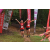 Team 83 / Raid Amazones Vietnam 2019 - J5 Trek