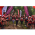 Team 118 / Raid Amazones Vietnam 2019 - J5 Trek