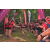 Team 36 / Raid Amazones Vietnam 2019 - J5 Trek