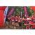 Team 107 / Raid Amazones Vietnam 2019 - J5 Trek