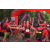 Team 14 / Raid Amazones Vietnam 2019 - J5 Trek