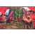 Team 43 / Raid Amazones Vietnam 2019 - J5 Trek