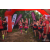 Team 81 / Raid Amazones Vietnam 2019 - J5 Trek