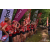 Raid Amazones Vietnam 2019 - J5 Trek