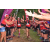 Team 94 / Raid Amazones Vietnam 2019 - J5 Trek