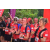 Team 44 / Raid Amazones Vietnam 2019 - J5 Trek
